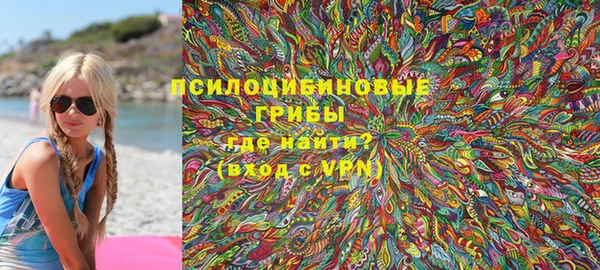 гидра Наволоки