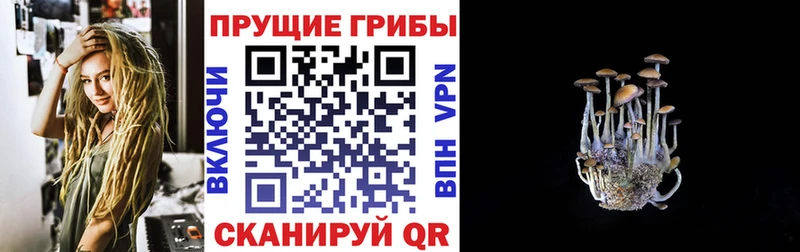 цена   Тутаев  OMG зеркало  Псилоцибиновые грибы прущие грибы 
