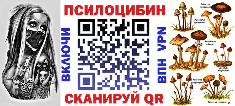 Галлюциногенные грибы Psilocybine cubensis Тутаев