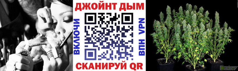 Конопля план  купить наркотик  Тутаев 